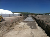 Parkinson Seed Farm Work Thumbnail